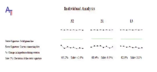 stator-loose-individual-analysis-graph