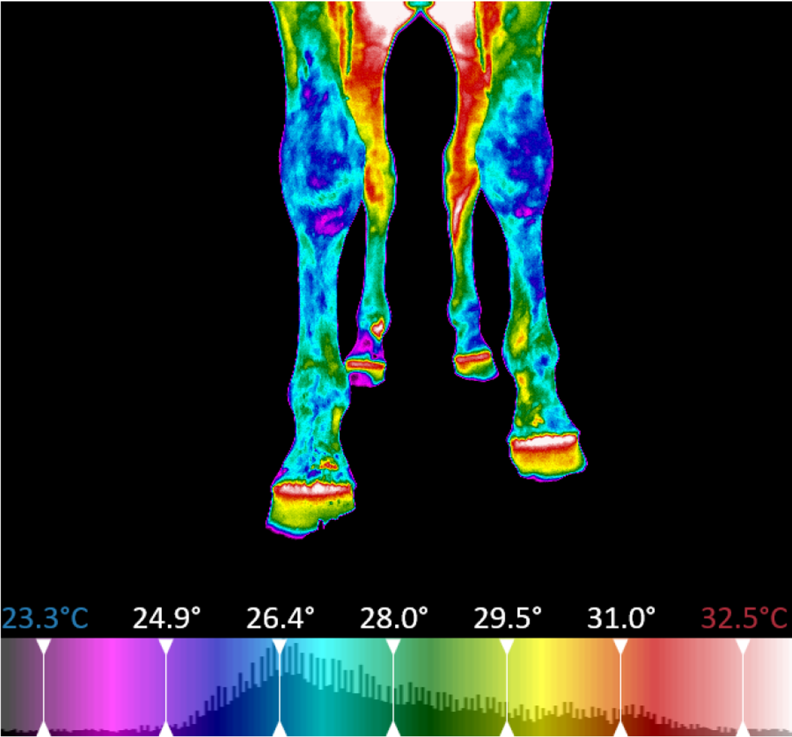 the-effect-of-ambient-temperature-on-infrared-thermographic-images-of